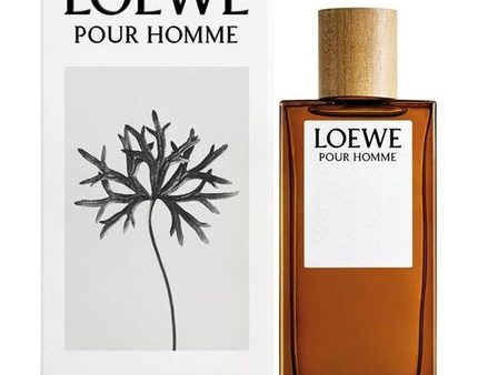 Loewe For Men Eau De Toilette Spray 100ml Hot on Sale