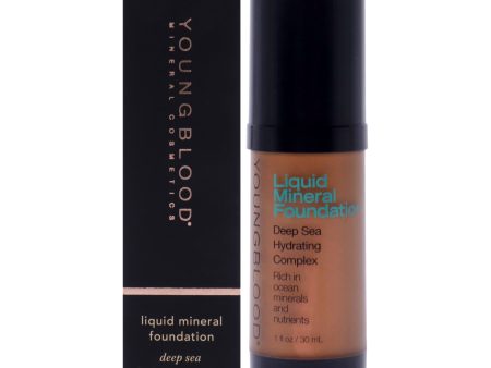 Youngblood Liquid Mineral Foundation - Chestnut by Youngblood for Women - 1 oz Foundation Online now